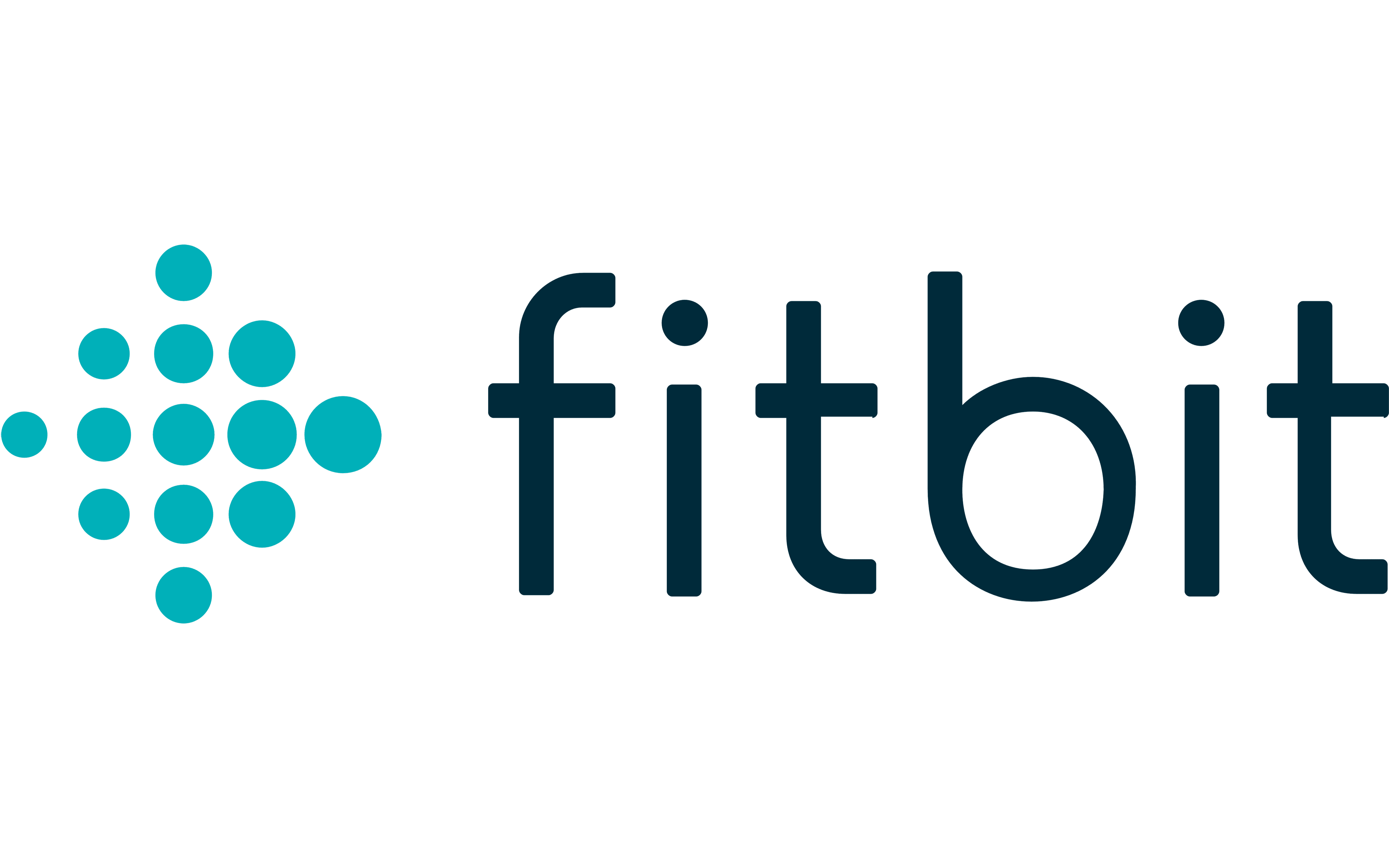 fitbit-logo