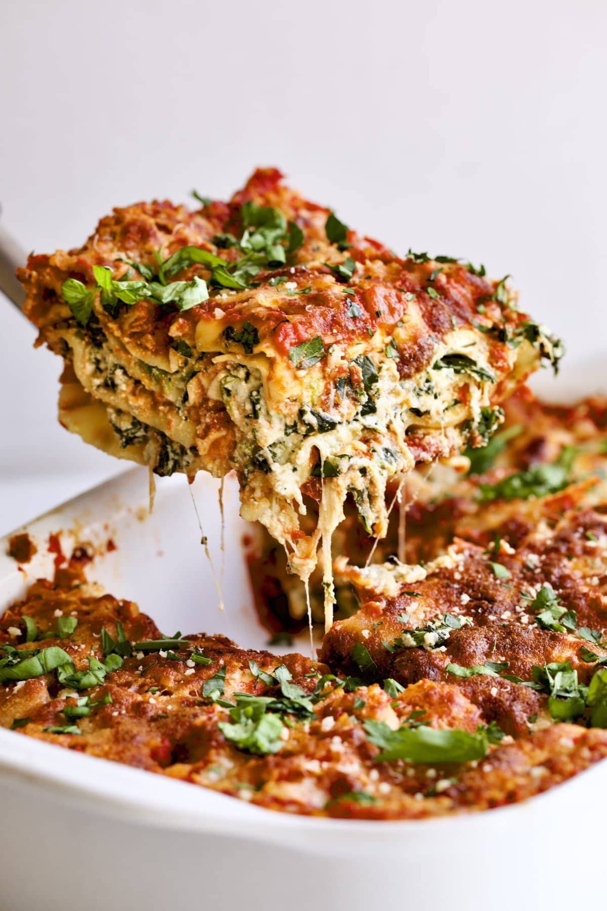 Lasagna picture